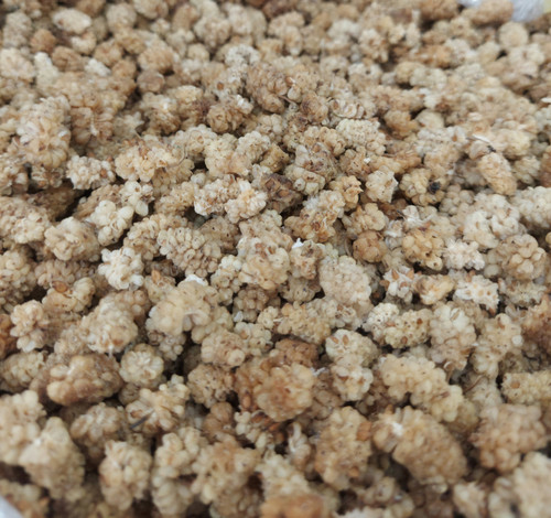 توت درجه یک تهرانی اصل ۱۰۰۰ گرم