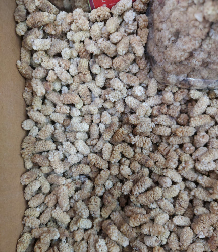 توت درجه یک اصفهانی اصل ۱۰۰۰ گرم