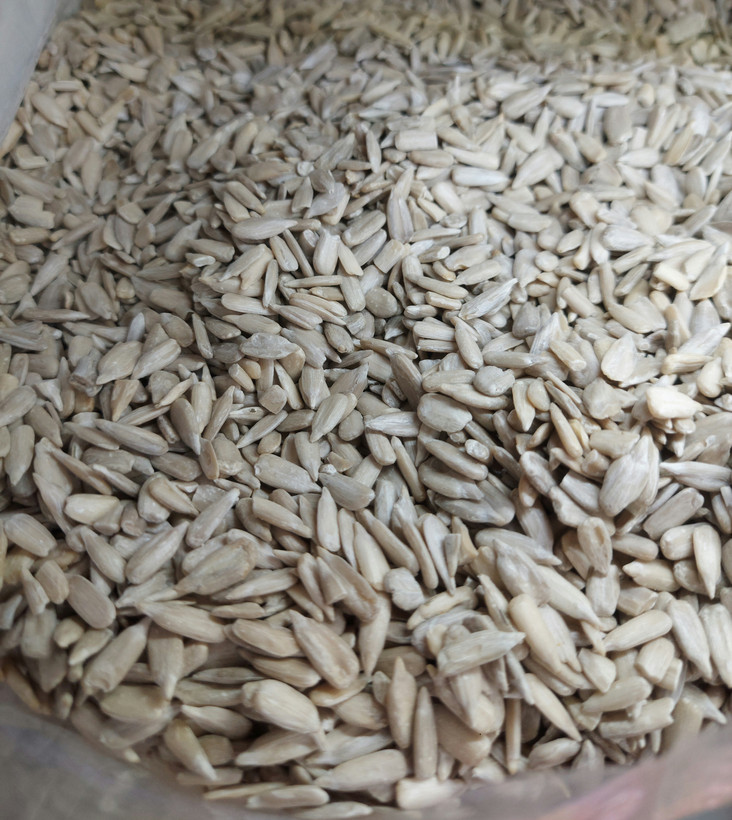 مغز تخمه آفتابگردان ۱۰۰۰ گرم