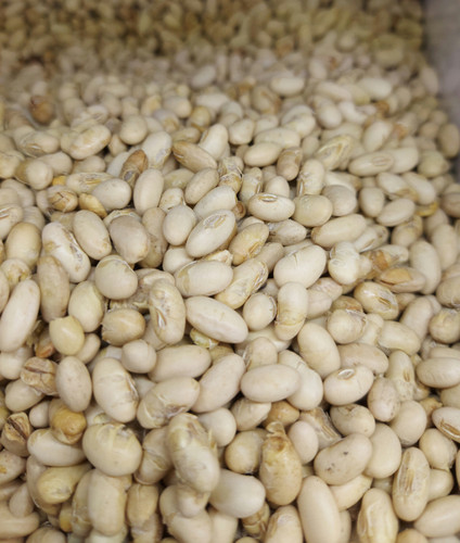 سویا اصلی یک کیلو ۱۰۰۰ گرم (فروشگاه توت استور)