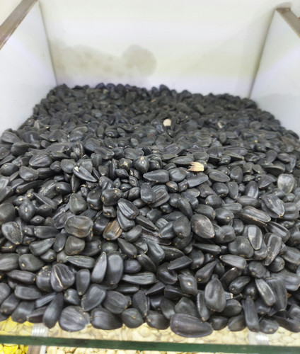 آجیل تخمه ریز سیاه گرم (فروشگاه توت استور)