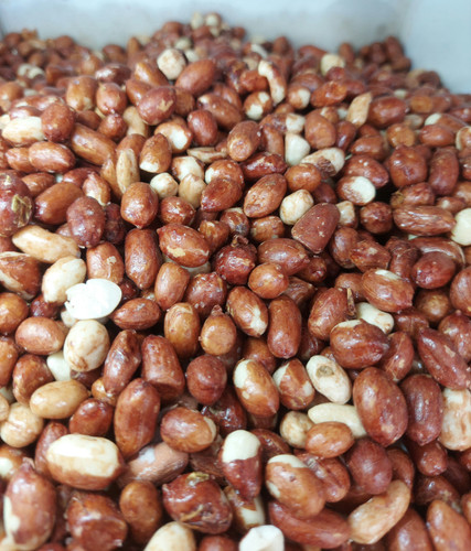 بادام زمینی هندی درجه یک گرم(فروشگاه توت استور)