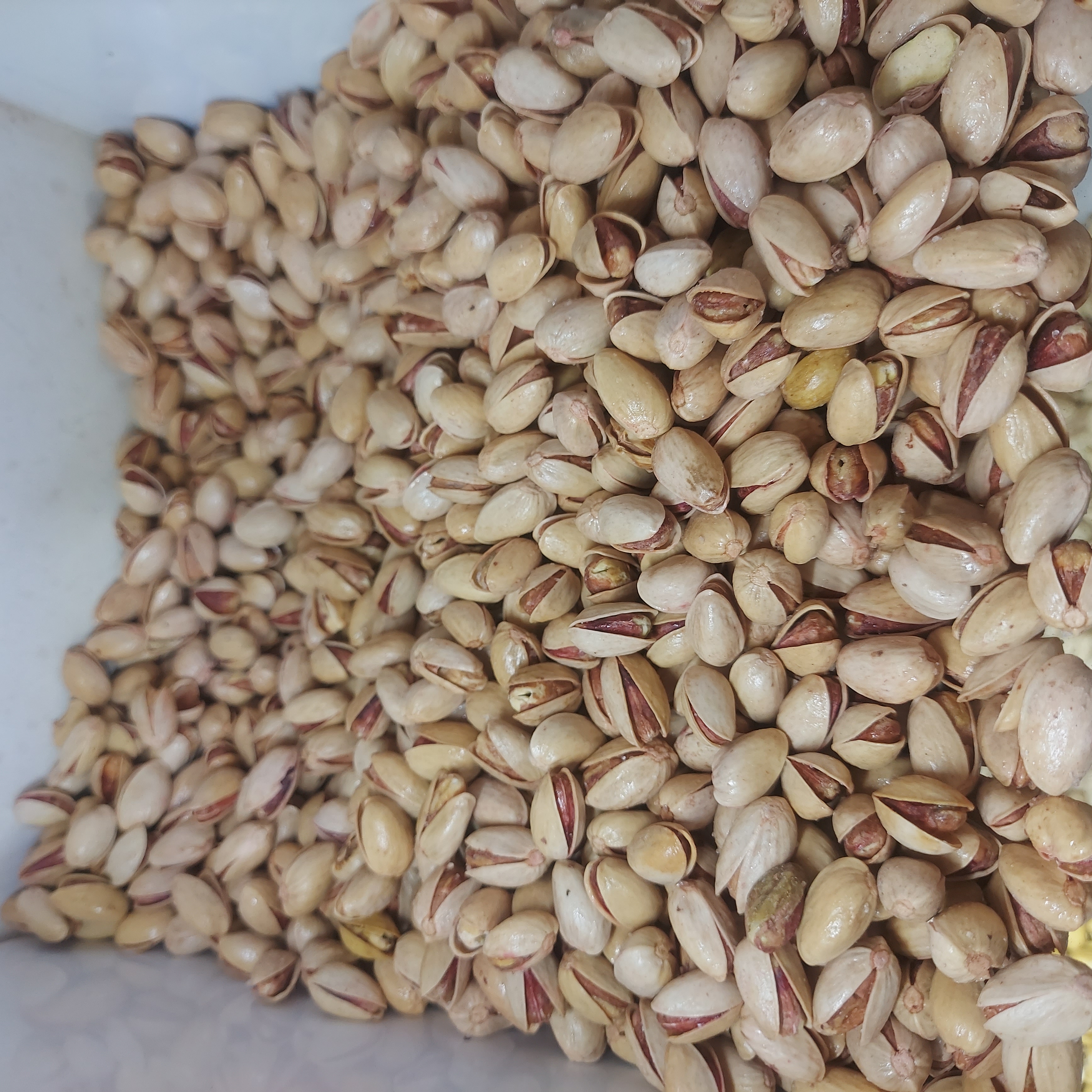 پسته احمد آقایی نمکی اعلاء ۱۰۰۰ گرم یک کیلویی(فروشگاه توت استور)