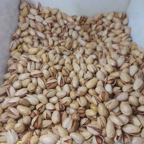 پسته احمد آقایی نمکی اعلاء ۱۰۰۰ گرم یک کیلویی(فروشگاه توت استور)