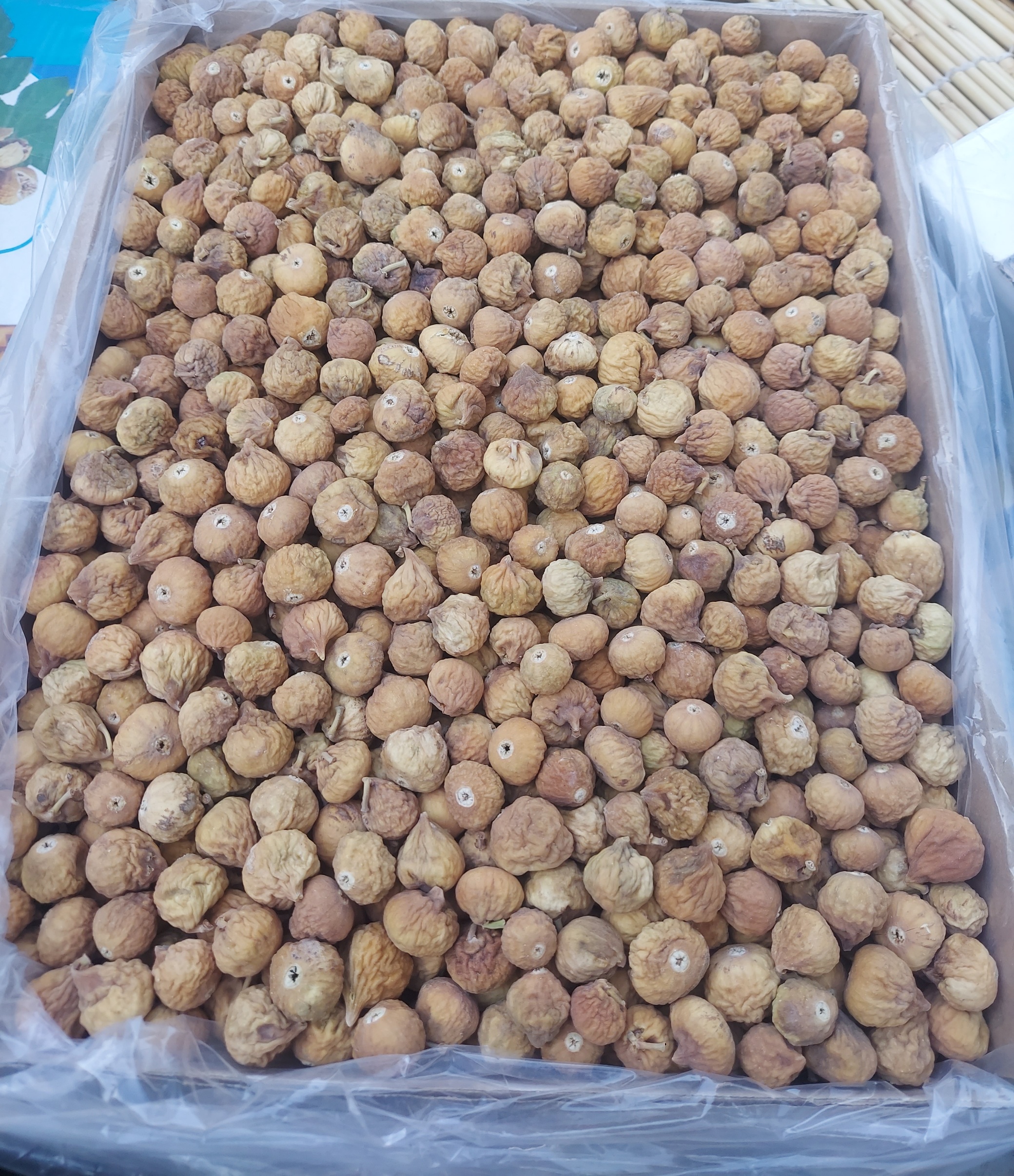 انجیر خشک استهبان کارتن ۱۰ کیلویی AA+