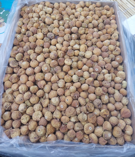 انجیر خشک استهبان کارتن ۱۰ کیلویی AA+